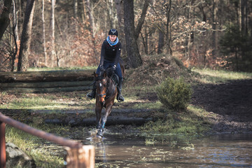 Wassereinsprung mit Pferd