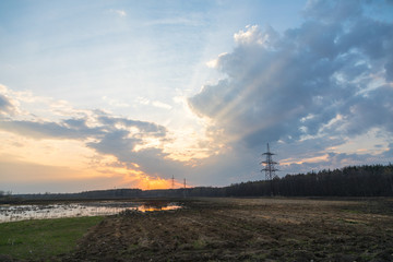 sunset over the field