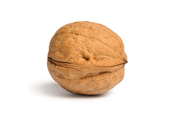 Walnut in shell isolated on white background