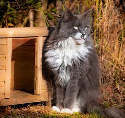 My home is my castle 