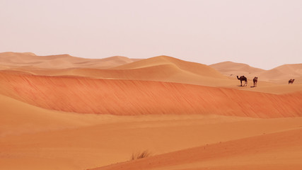 Fototapeta na wymiar Wüste Sahara in Marokko
