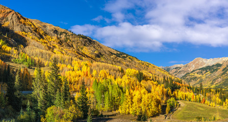 Autumn Aspen scenery on the Million Dollar Highway - Colorado Rocky Mountains