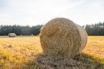 bales of hay