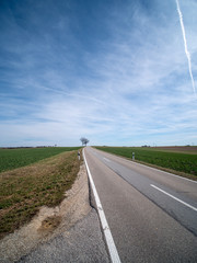 Landstraße mit Baum am Horizont