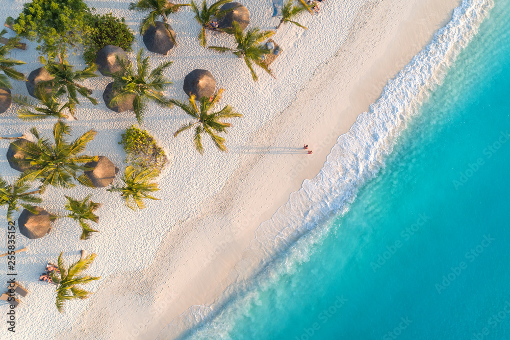 Canvas Prints Aerial view of umbrellas, palms on the sandy beach of Indian Ocean at sunset. Summer holiday in Zanzibar, Africa. Tropical landscape with palm trees, parasols, white sand, blue water, waves. Top view