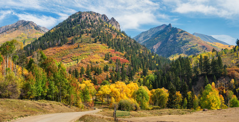 Autumn scenery on Last Dollar Road near Telluride - Golden Aspen