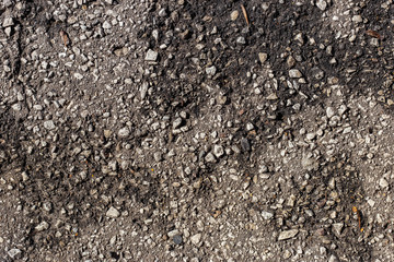wet asphalt texture