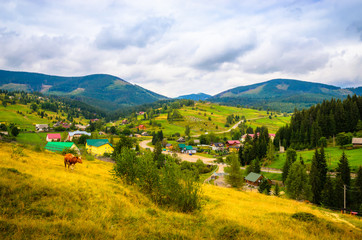 Summer mountains landscape