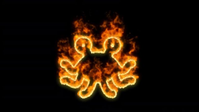 pastafarianism symbol inflames. Then disappears. In - Out loop. Alpha channel Premultiplied - Matted with color black