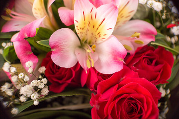 Fototapeta na wymiar Red Roses Bouquet