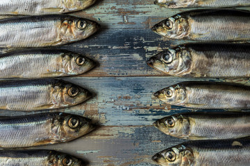 Fototapeta premium Fish pattern. Herring fish on an old blue wooden background.