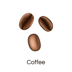 Coffee beans realistic look isolated on white background. Vector illustration.