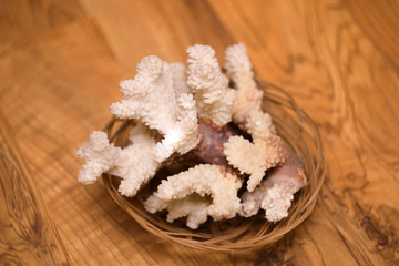 Marine coral in wicker basket decoration