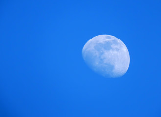The waxing gibbous in blue skies