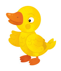 cartoon scene with duck on white background - illustration for children