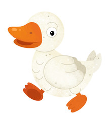 cartoon scene with duck on white background - illustration for children