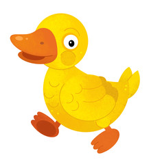 cartoon scene with duck on white background - illustration for children