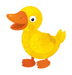 cartoon scene with duck on white background - illustration for children