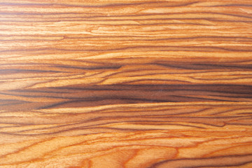 The texture of natural wood exotic rocks. Creative vintage brown background