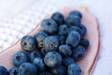 Closeup sweet fresh blueberry in pink plate