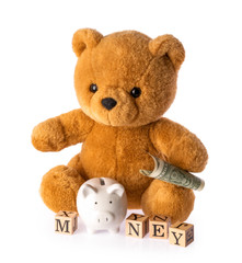 Teddy bear. Money savings concept isolated white background