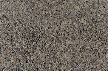 Sandy and Rocky Path