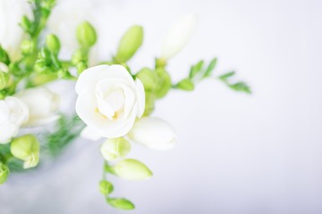Beautiful white freesia flowers on the light background. Top view. Soft focus