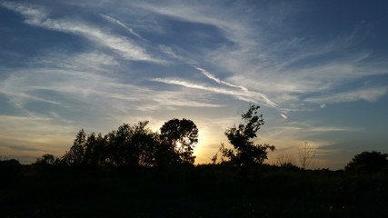 Sunset silhouette 
