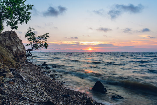 Tree on the rocky shore at sunrise