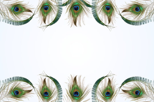 "Peacock Feather Background" Images – Browse 295 Stock Photos, Vectors ...