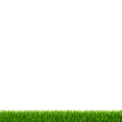 Grass Border Isolated