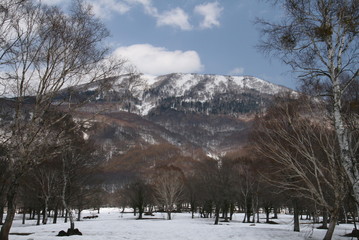新潟　笹ヶ峰高原残雪の早春　妙高山を望む