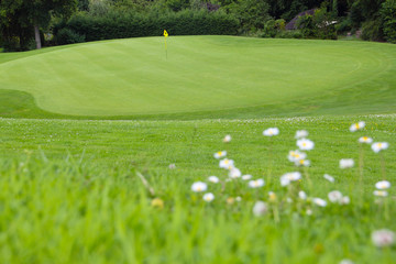 Golf flag on the green grass