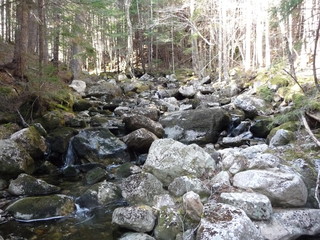 Fototapeta na wymiar rocky woodland stream