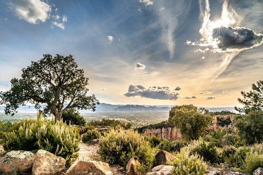 view on valley of roquebrune sure agens, cote d'azur, france