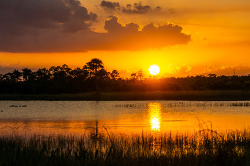 Sunset at Pine Glades Natural Area, Jupiter, Palm Beach County, Florida, USA