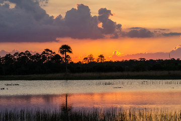 Sunset at Pine Glades Natural Area, Jupiter, Palm Beach County, Florida, USA