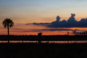 Sunset at Pine Glades Natural Area, Jupiter, Palm Beach County, Florida, USA