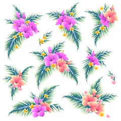 Gordijnen Hibiscus flower material illustration © daicokuebisu