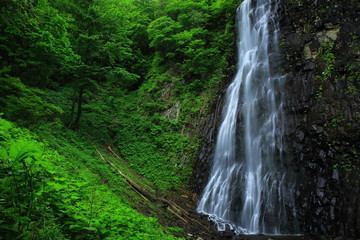 夏の滝