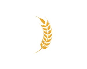 Agriculture wheat Logo Template vector icon