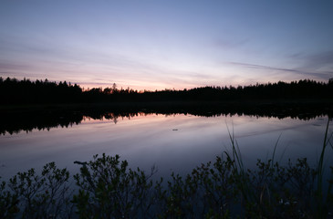 Fototapeta na wymiar Small calm lake in sweden surrounded by a forest
