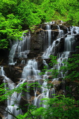 Fototapeta premium 夏の滝