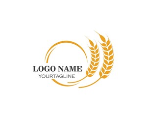 Agriculture wheat Logo Template vector icon