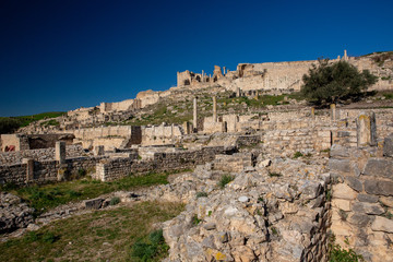 Obraz premium ドゥッガ