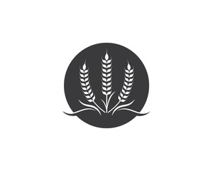 Agriculture wheat Logo Template vector icon