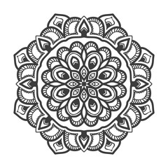 mandala flower illustration vector