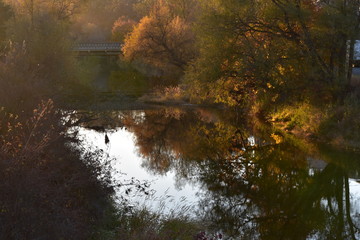 A walk at dusk