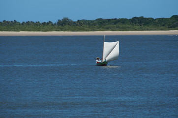Pescar &eacute; preciso