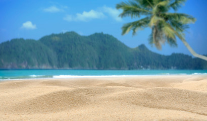 summer beach with coconut tree and sea background